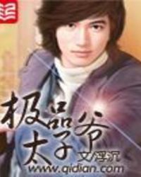 极品太子全集免费完整